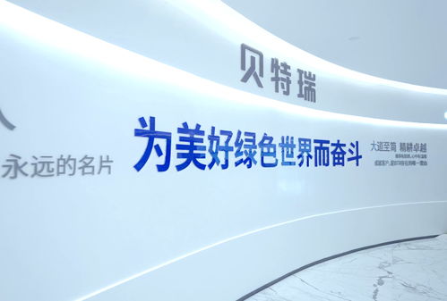 高首效硅氧負(fù)極材料奪冠灣高賽，賀雪琴深度解讀項(xiàng)目含金量